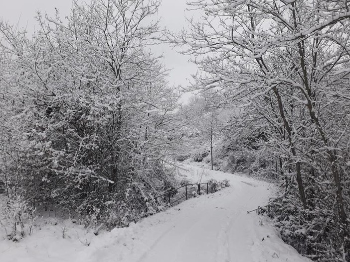 La neve copre la Val Bormida, senza creare particolari disagi (FOTO e VIDEO) La neve copre la Val Bormida, senza creare particolari disagi (FOTO e VIDEO)