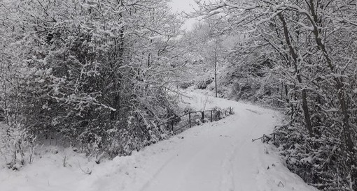 Maltempo, pioggia e neve in arrivo: le previsioni per i prossimi giorni Maltempo, pioggia e neve in arrivo: le previsioni per i prossimi giorni