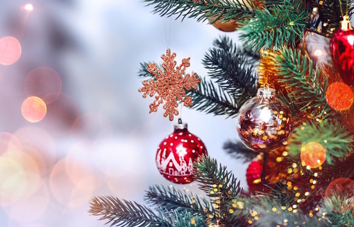 Natale, Uecoop: "Niente ripresa da shopping per 8 aziende su 10" Natale, Uecoop: "Niente ripresa da shopping per 8 aziende su 10"