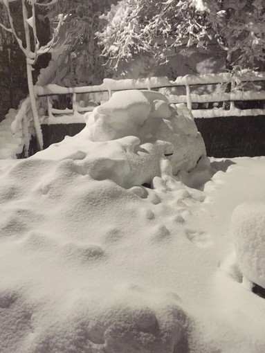 Alle nove cessa l'allerta meteo, ecco le previsioni per le prossime ore