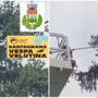 Millesimo, neutralizzato un nido di Vespa velutina nel Parco dei Piani