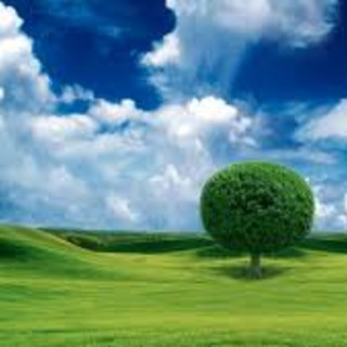 Savonaturalmente una ventata di benessere arriva in città