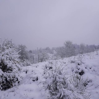 Allerta neve, dall'Arpal: &quot;Precipitazioni confinate a parte dell’entroterra savonese&quot;