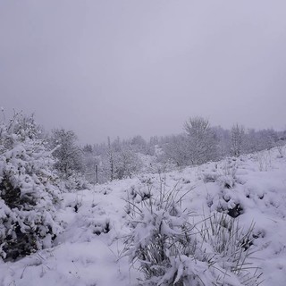 Allerta neve, dall'Arpal: "Precipitazioni confinate a parte dell’entroterra savonese" Allerta neve, dall'Arpal: "Precipitazioni confinate a parte dell’entroterra savonese"