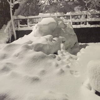 Alle nove cessa l'allerta meteo, ecco le previsioni per le prossime ore