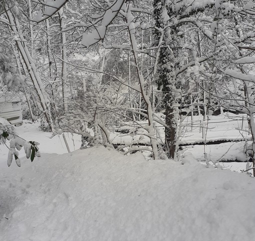 Quiliano, una lettrice: "Ai Tecci siamo parzialmente isolati e senza energia elettrica"