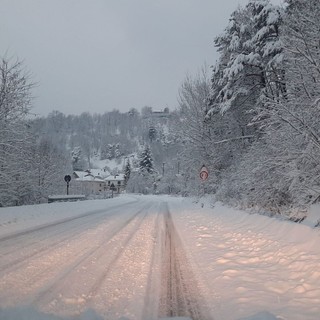 Foto repertorio Foto repertorio