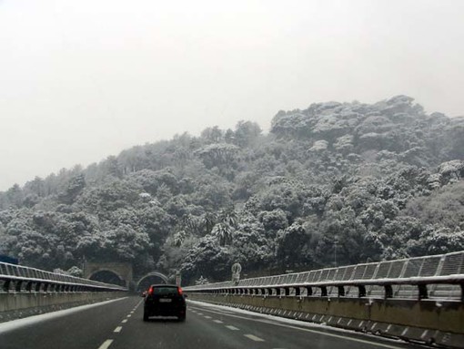 Nevischio anche su Savona ed il Levante costiero Nevischio anche su Savona ed il Levante costiero