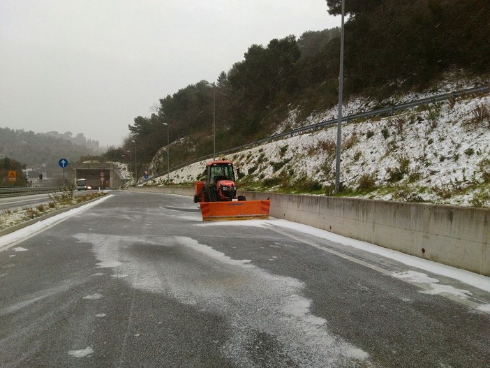 Alassio, allerta meteo, il sindaco Canepa: "Tutto sotto controllo" Alassio, allerta meteo, il sindaco Canepa: "Tutto sotto controllo"
