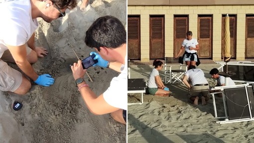 Laigueglia, nuovo nido di Caretta caretta sulla spiaggia: è il secondo del 2025 nel borgo marinaro