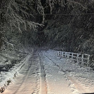 Neve in Val Bormida: mezzi spazzaneve in azione, alberi e ramaglie sulla Sp 51 Neve in Val Bormida: mezzi spazzaneve in azione, alberi e ramaglie sulla Sp 51