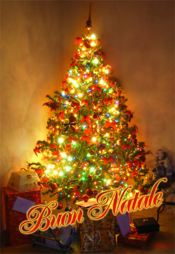 Savona: sabato accensione del grande albero di Natale di piazza Sisto Savona: sabato accensione del grande albero di Natale di piazza Sisto