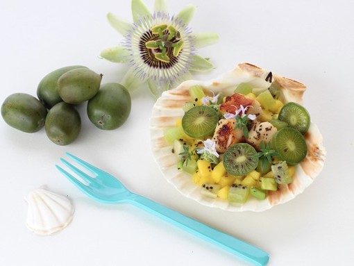 Idea della domenica: Capesante con insalata di Nergi® Idea della domenica: Capesante con insalata di Nergi®