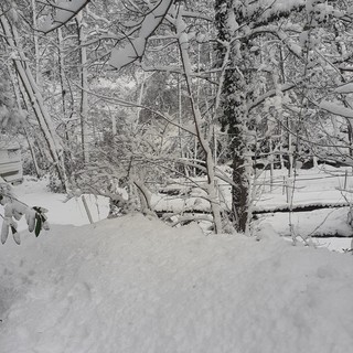 Quiliano, una lettrice: "Ai Tecci siamo parzialmente isolati e senza energia elettrica" Quiliano, una lettrice: "Ai Tecci siamo parzialmente isolati e senza energia elettrica"