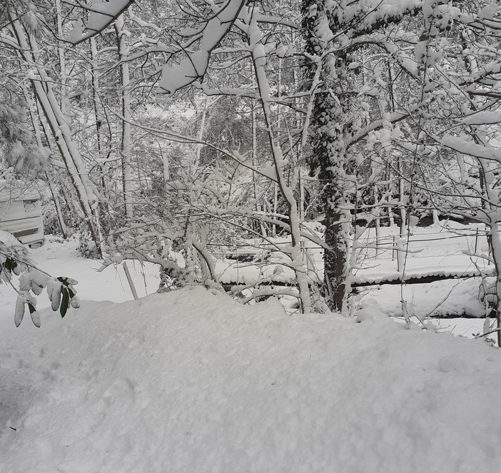 Quiliano, una lettrice: "Ai Tecci siamo parzialmente isolati e senza energia elettrica"