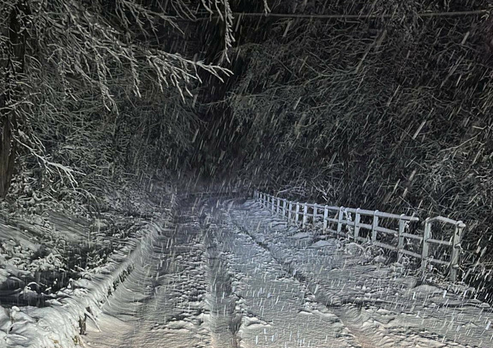 Meteo, possibili nevicate natalizie alle porte