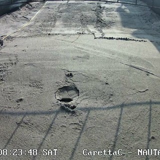 Nel nido di tartaruga di Laigueglia ecco il tipico "cono": la schiusa delle uova sempre più vicina