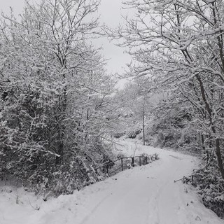 Colpo di coda dell'inverno, pioggia e neve fino a bassa quota in questo fine febbraio