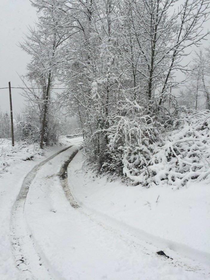 Allerta meteo fino alla mezzanotte di oggi, ecco gli ultimi dati Arpal Allerta meteo fino alla mezzanotte di oggi, ecco gli ultimi dati Arpal