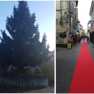 Cairo stende un 'tappeto natalizio' per le feste: sabato l'accensione dell'albero