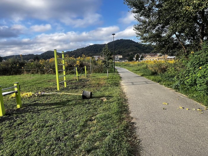 Cairo, 80 nuove piante lungo viale Vittorio Veneto e la pista ciclabile adiacente
