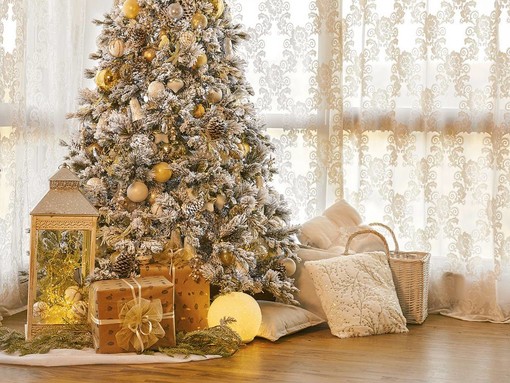 Il Natale si avvicina ed è ormai tempo di cercare dei doni! Con Agricola tante idee regalo per tutti (Video)