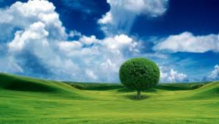 Savonaturalmente una ventata di benessere arriva in città