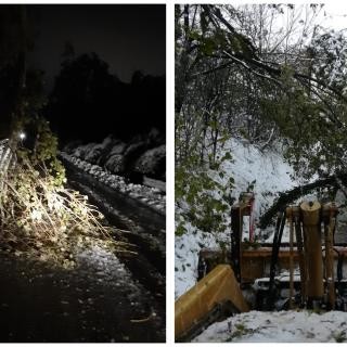 Maltempo, il sindaco di Cosseria fa la conta dei danni dopo la nevicata della scorsa settimana