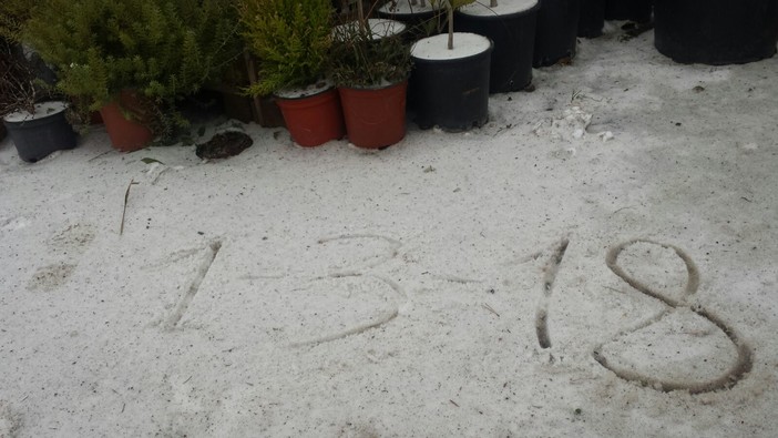 Cessa l'allerta, ma l'agricoltura è in ginocchio a Borghetto Santo Spirito (FOTOgallery)