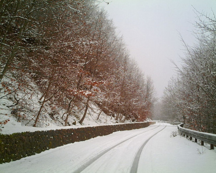 Cengio, rami sovraccarichi di neve: pronto intervento della Protezione Civile Cengio, rami sovraccarichi di neve: pronto intervento della Protezione Civile
