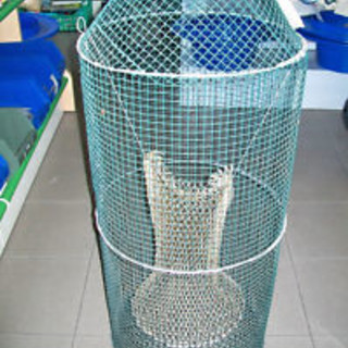 Proseguono i controlli per la sicurezza in mare