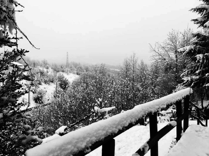 Maltempo, caduti 15 cm di neve sul monte Settepani e nel comune di Osiglia a 1375 metri di quota