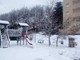 Forti nevicate in Val Bormida, alberi abbattuti sulla sede stradale a Sassello