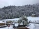 La dama bianca ricopre le alture della Val Bormida, Olivieri: &quot;Un detto dei nostri vecchi dice ‘tanta neve tanti funghi’” (FOTO)