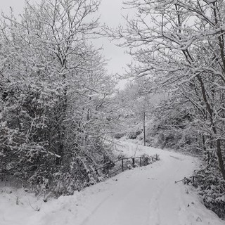 Maltempo, rischio gelicidio in Val Bormida e nella zona di Sassello