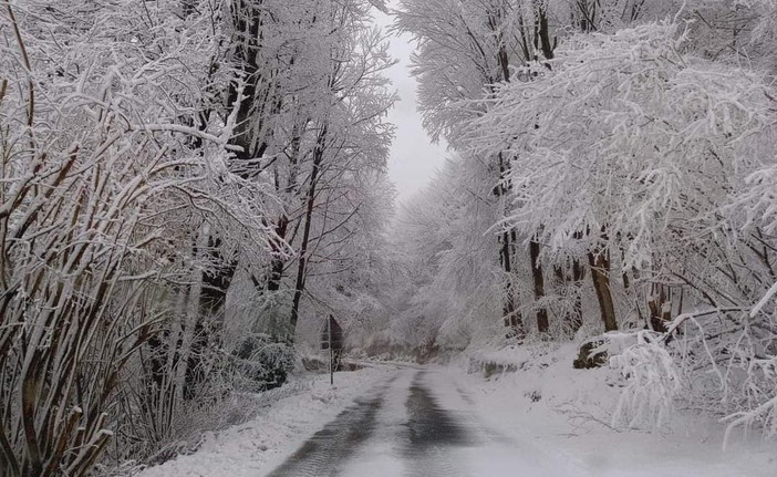 La neve imbianca l'entroterra anche al Melogno: chiusi i sentieri su Calice Ligure