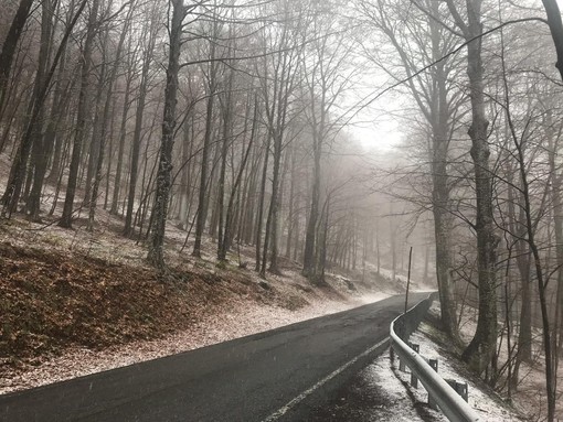 Lieve maltempo, una spolverata di neve sul Melogno Lieve maltempo, una spolverata di neve sul Melogno