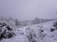 Maltempo, in Val Bormida un metro di neve sul monte Settepani