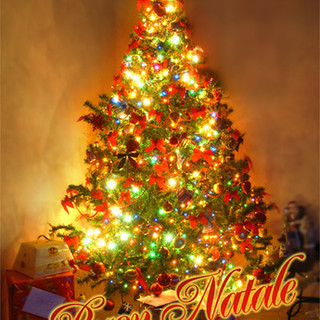 Savona: sabato accensione del grande albero di Natale di piazza Sisto