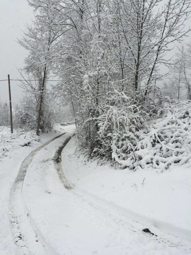 Allerta meteo fino alla mezzanotte di oggi, ecco gli ultimi dati Arpal