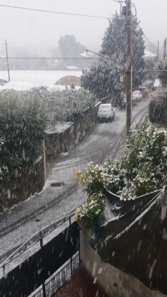 Scatta l'allerta meteo per neve. Iniziano a cadere i primi fiocchi nel savonese (VIDEO) Scatta l'allerta meteo per neve. Iniziano a cadere i primi fiocchi nel savonese (VIDEO)