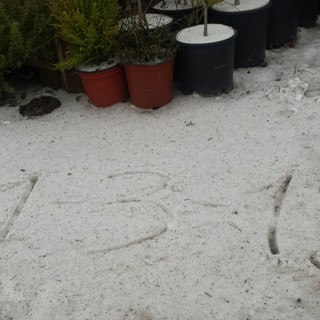 Cessa l'allerta, ma l'agricoltura è in ginocchio a Borghetto Santo Spirito (FOTOgallery)