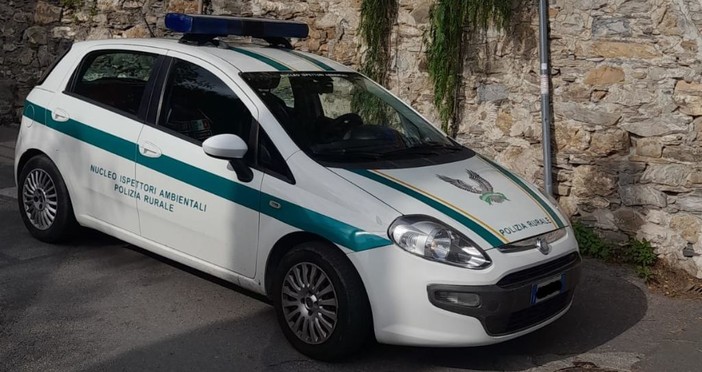 Alassio, controlli a tappeto e raffiche di multe per l’errato conferimento dei rifiuti, Galtieri: “Necessario per risolvere il problema” Alassio, controlli a tappeto e raffiche di multe per l’errato conferimento dei rifiuti, Galtieri: “Necessario per risolvere il problema”