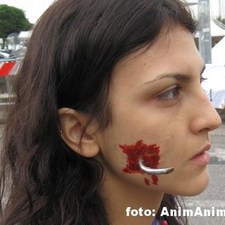 Enpa "La regione si vende le nostre acque interne, tutti possono pescarvi indiscriminatamente"