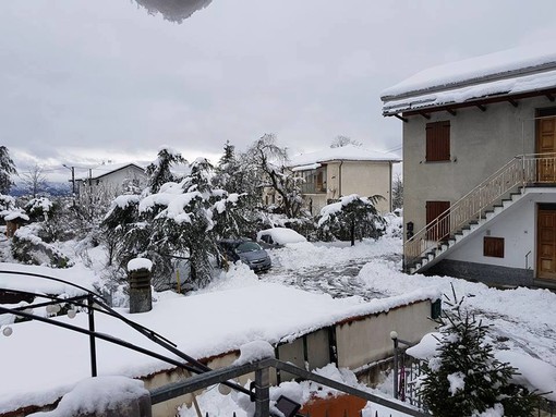 immagine di repertorio