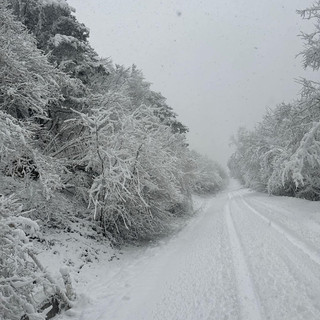 Meteo, neve e piogge in vista