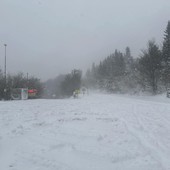 Scende la neve nell'entroterra finalese: cumulate consistenti tra Calice e il Melogno