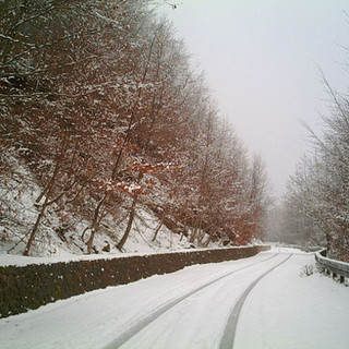 Cengio, rami sovraccarichi di neve: pronto intervento della Protezione Civile