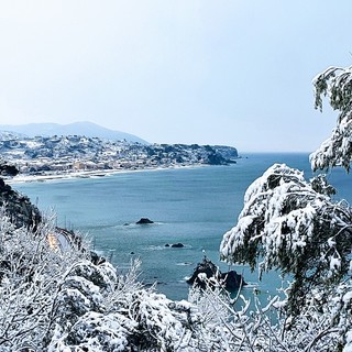 Foto copertina Emanuela Cremonesi Foto copertina Emanuela Cremonesi