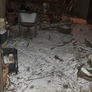 Maltempo, una spolverata di neve imbianca Savona (VIDEO)